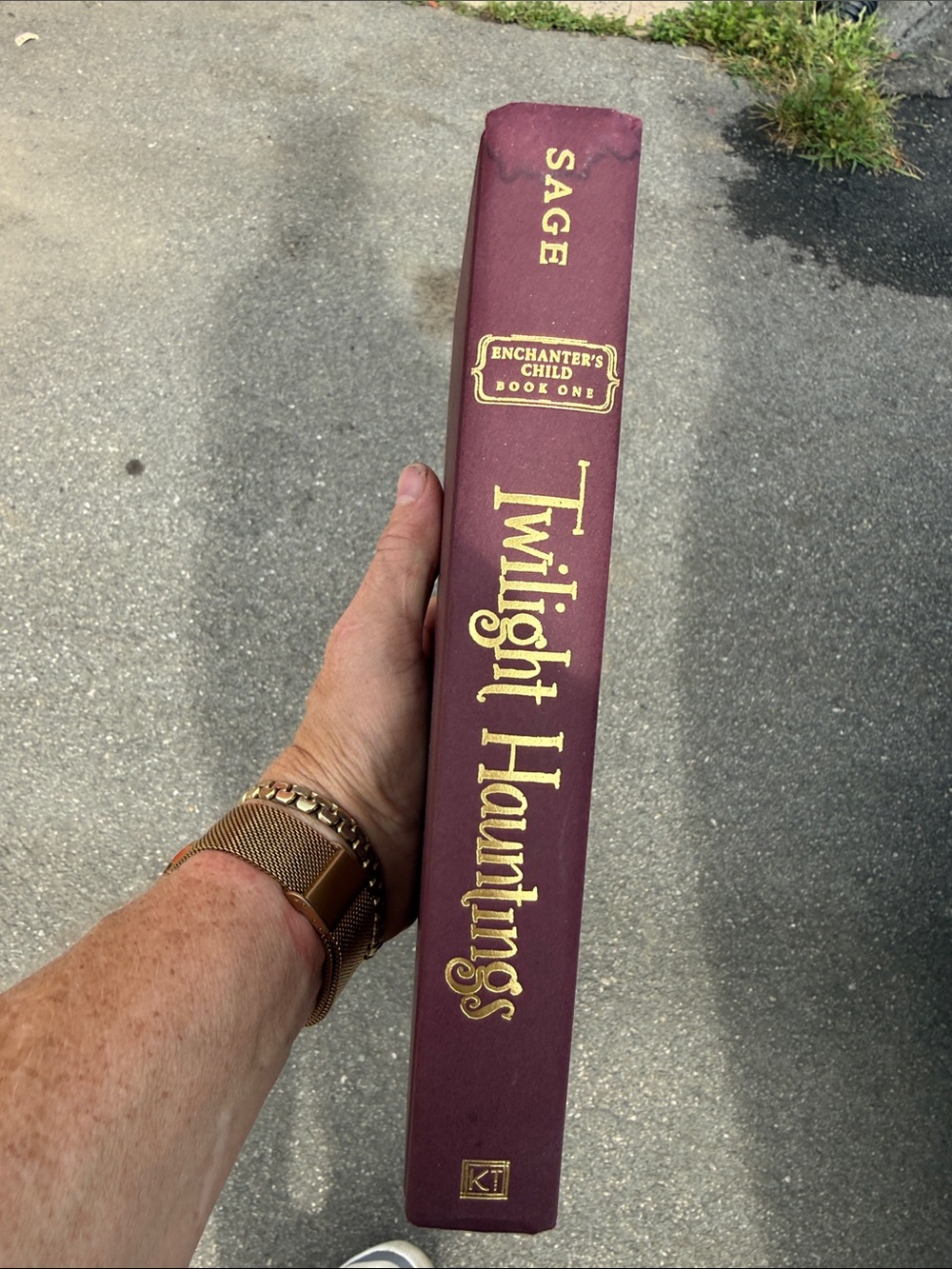 Sage Twilight Hauntings Decorative Book - Wine with Gold LetteringTwighligjt Hau